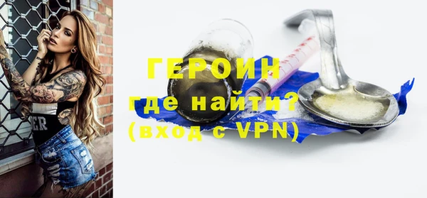 гидра Богородицк