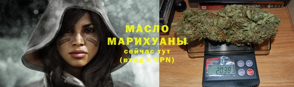гидра Богородицк