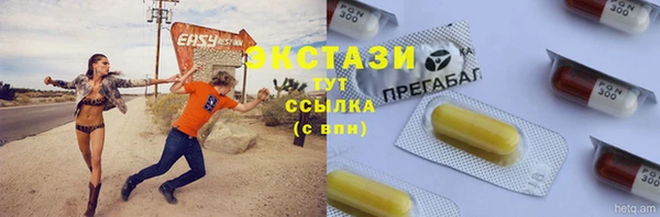 гидра Богородицк