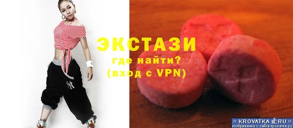 гидра Богородицк