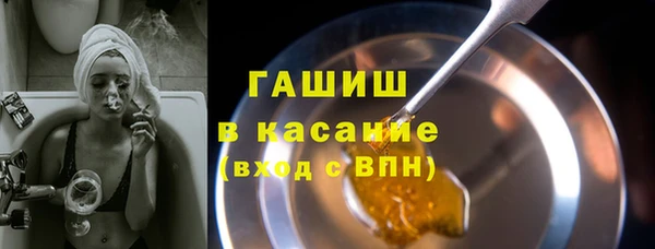 гидра Богородицк