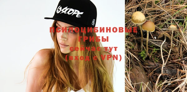 гидра Богородицк