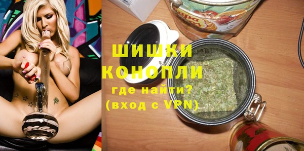 гидра Богородицк
