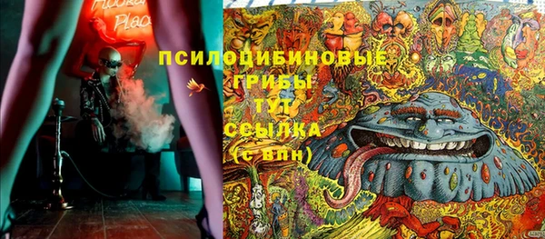 гидра Богородицк