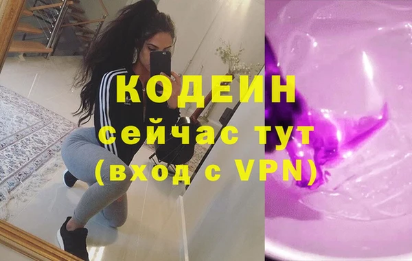гидра Богородицк
