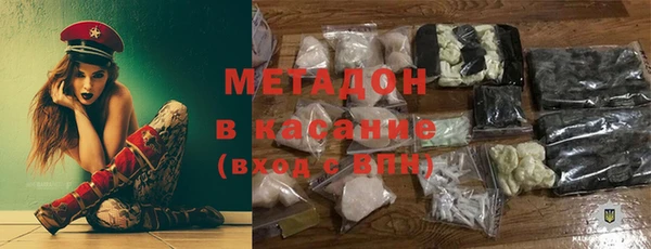 гидра Богородицк