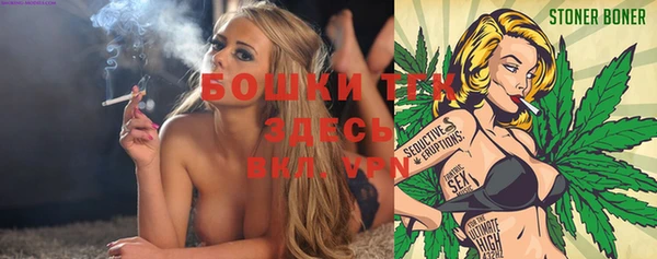 сатива Богданович