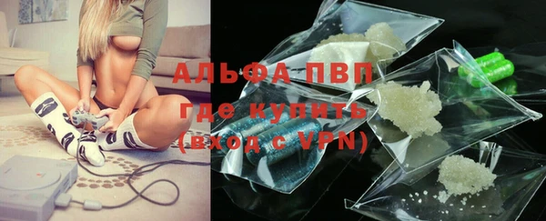 сатива Богданович