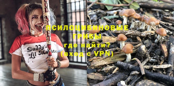 сатива Богданович
