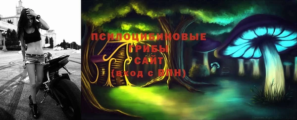 сатива Богданович
