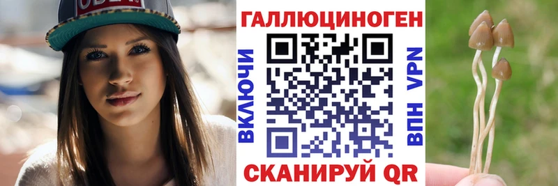 даркнет сайт Оха Галлюциногенные грибы Psilocybe